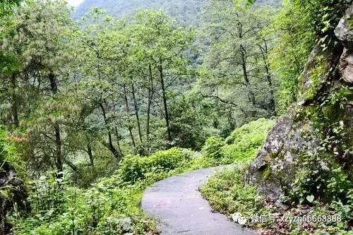 百姓来“掌勺” 共享“文化宴”